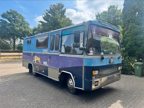 VanHool Oldtimer Camper - Nieuwe APK, Caravans en Kamperen, Campers, Particulier, tot en met 3, Buscamper of Camperbus, Overige merken