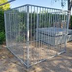 Honden-dieren ren, Ophalen of Verzenden, Nieuw