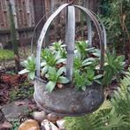 Hangende kippenvoerbak met vetplanten, Tuin en Terras, Bloembakken en Plantenbakken, Gebruikt, Minder dan 30 cm, Minder dan 60 cm