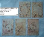 vintage plaatjes bloemen 108 ( alleen verzenden, Hobby en Vrije tijd, Kaarten | Zelf maken, Ophalen, Nieuw, Overige thema's, Knipvel