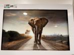 Glasschilderij The lonely olifant, Huis en Inrichting, Woonaccessoires | Schilderijen, Tekeningen en Foto's, Ophalen