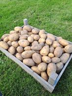 Biologische klei aardappels. €0,25 per kilo, Ophalen of Verzenden