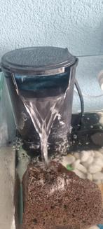 Waterfilter terrarium, Ophalen of Verzenden, Gebruikt