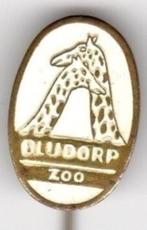 Speldje BLIJDORP ZOO ROTTERDAM GIRAFFE WIT (A5), Verzamelen, Speldjes, Pins en Buttons, Verzenden, Gebruikt, Overige onderwerpen