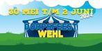 2x tickets dorpsfeest Wehl zaterdag 1 juni