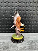 arend, Woondecoratie eindhoven, Nieuw, Ophalen of Verzenden, Woondecoratie eindhoven