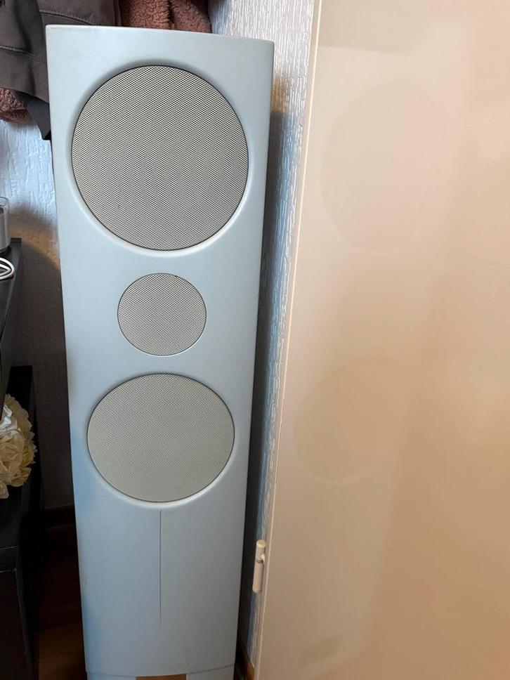 Loewe Luidspreker - Topkwaliteit, Audio, Tv en Foto, Luidsprekers, Gebruikt, Front, Rear of Stereo speakers, 60 tot 120 watt, Overige merken