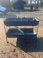 Dubbele Knaagdieren/Cavia kooi 100 cm, Kooi, 110 cm of meer, Zo goed als nieuw, Cavia