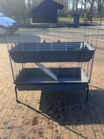 Dubbele Knaagdieren/Cavia kooi 120 cm beschikbaar voor biedingen