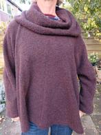 Hebbeding trui, Kleding | Dames, Ophalen of Verzenden, Zo goed als nieuw, Maat 38/40 (M)