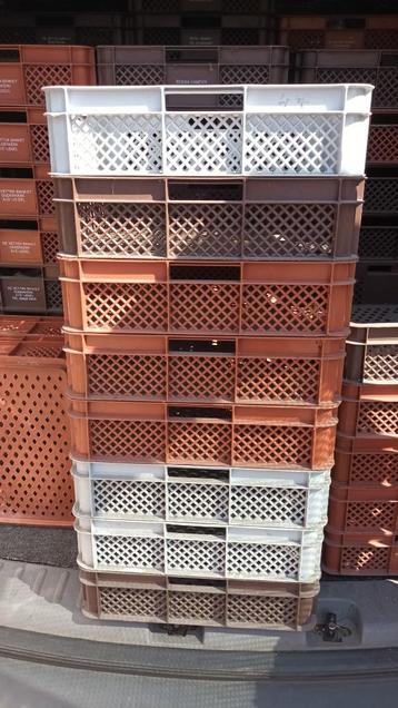 100 Gebruikte kratjes , Afmeting 40x35x 11 cm hoog beschikbaar voor biedingen