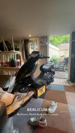 Peugeot zenith, Ophalen, Zo goed als nieuw, Overige modellen