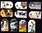 5335) honden, wolven, coyotes, dalmatiers, Ophalen of Verzenden, Zo goed als nieuw, Hond of Kat, Opgezet dier