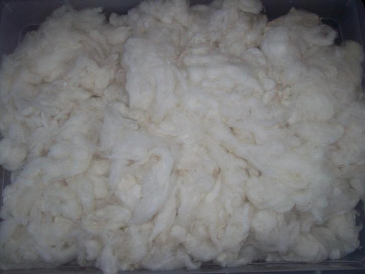 Gewassen schapenwol  Mooie zachte Witte Wol ook 4 Kleurige, Hobby en Vrije tijd, Spinnewielen en Spinnen, Zo goed als nieuw, Spinwol