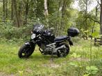 Zeer mooie suzuki gladius SFV650, Motoren, Motoren | Suzuki, 2 cilinders, Motorrijbewijs A, Particulier, Meer dan 35 kW