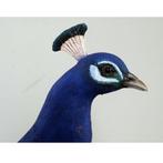 Peacock – Pauw beeld Lengte 142 cm, Ophalen, Nieuw