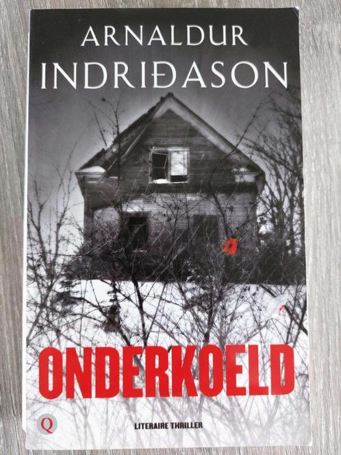 Arnaldur Indriðason - Onderkoeld - Erlendur 8, Boeken, Thrillers, Zo goed als nieuw, Scandinavië, Ophalen of Verzenden