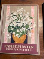 Kamerplanten door A.J. van Laren - Gelezen boek, Ophalen of Verzenden, Gelezen, Kamerplanten