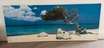 Canvas schilderij Strand met Boom, Huis en Inrichting, Woonaccessoires | Schilderijen, Tekeningen en Foto's, Ophalen, 75 tot 100 cm