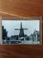 Ansichtkaart spijk molen, Ophalen of Verzenden, 1960 tot 1980, Ongelopen, Groningen