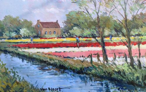 VAN NOORT- BOLLENVELD TE HILLEGOM, Antiek en Kunst, Kunst | Schilderijen | Klassiek, Ophalen of Verzenden
