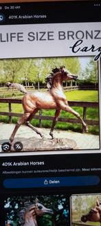 Bronzen Arabisch Paard - Groot en Gedetailleerd, Boeken, Ophalen, Zo goed als nieuw, Paarden of Pony's, Onbekend