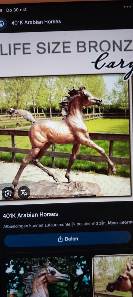 Bronzen Arabisch Paard - Groot en Gedetailleerd, Boeken, Dieren en Huisdieren, Zo goed als nieuw, Paarden of Pony's, Ophalen