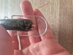 Grandma plug, Ophalen of Verzenden, Gebruikt, Overige typen