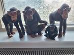 Apenfamilie, Dieren en Toebehoren, Ophalen of Verzenden, Zo goed als nieuw