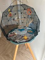Vogels met kooi, Dieren en Toebehoren, Ophalen of Verzenden, Zo goed als nieuw, Metaal, Vogelkooi