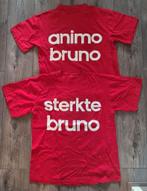 Sterkte Bruno Silva, Ophalen of Verzenden, Zo goed als nieuw, Ajax, Shirt
