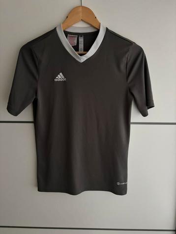 Shirt beschikbaar voor biedingen