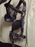 Boitloos men hoofdstel shetlander, Dieren en Toebehoren, Ophalen of Verzenden, Nieuw, Overige soorten