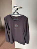 Trui grijs maat Large, Kleding | Dames, Zo goed als nieuw, Grijs, Zusss, Ophalen