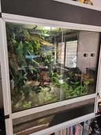 Dutch rana terrarium inclusief wimper gekko, Dieren en Toebehoren, Ophalen, Gebruikt, Terrarium of Paludarium