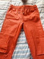 Studio AR  stretch leren broek( echt)   40, Ophalen of Verzenden, Zo goed als nieuw, Maat 38/40 (M), Rood