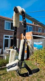 Nieuw Schockemöhle halster, Dieren en Toebehoren, Ophalen of Verzenden, Nieuw, Overige soorten