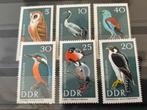 Vogel, DDR 1967, Ophalen of Verzenden, Postfris, Dier of Natuur