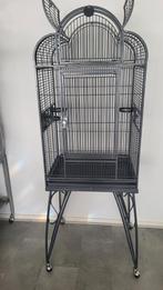 Montana papegaaienkooi, Dieren en Toebehoren, Mannelijk, Parkiet