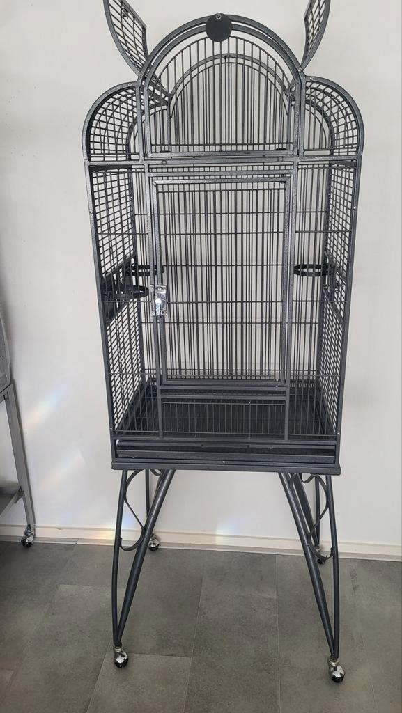 Montana papegaaienkooi, Dieren en Toebehoren, Vogels | Parkieten en Papegaaien, Parkiet, Mannelijk