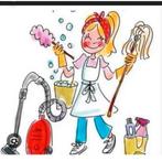 Schoonmaakster aangeboden (leiden), Vanaf 10 jaar, Overige vormen