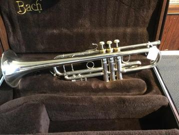 gezocht trompet Bach Stradivarius Zilver beschikbaar voor biedingen