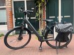 Tenways CGO800S Elektrische Fiets - Grijs, Fietsen en Brommers, Elektrische fietsen, Overige merken, Gebruikt, Ophalen of Verzenden