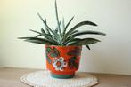 Retro oranje Bloempot met leuke bloem, Ophalen of Verzenden, Huis en Inrichting