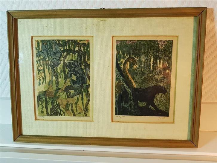Mogli, 2 originele kleuren etsjes, Antiek en Kunst, Kunst | Etsen en Gravures, Ophalen of Verzenden