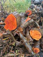 Stammen en Takken - Brandhout, 6 m³ of meer, Ophalen, Overige houtsoorten, Stammen