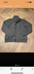 Hackett london vest, Maat 52/54 (L), Verzenden, Nieuw, Hackett london