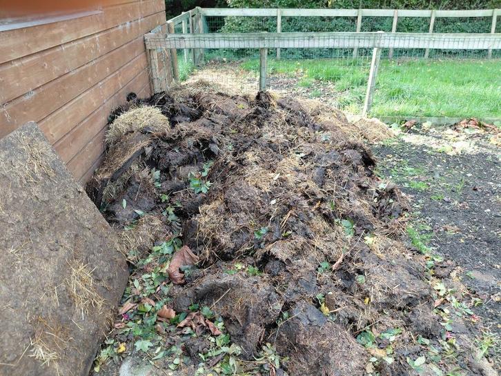 Gratis Stalmest, geen paardenmest, Tuin en Terras, Aarde en Mest, Tuinaarde, Ophalen