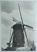Den Dungen  - Maaskantje ( N.Br. ) Molen De Pelikaan, Verzamelen, Ansichtkaarten | Nederland, Verzenden, 1960 tot 1980, Ongelopen