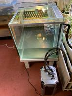 Grote bak /aquarium voor schildpadden, Dieren en Toebehoren, Reptielen en Amfibieën | Toebehoren, Ophalen, Gebruikt, Terrarium of Paludarium